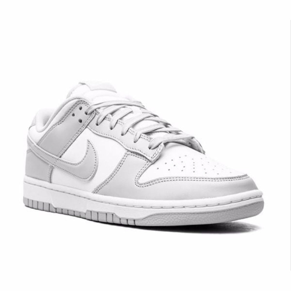 DUNK LOW  "Photon Dust" DUST GRAY MENS